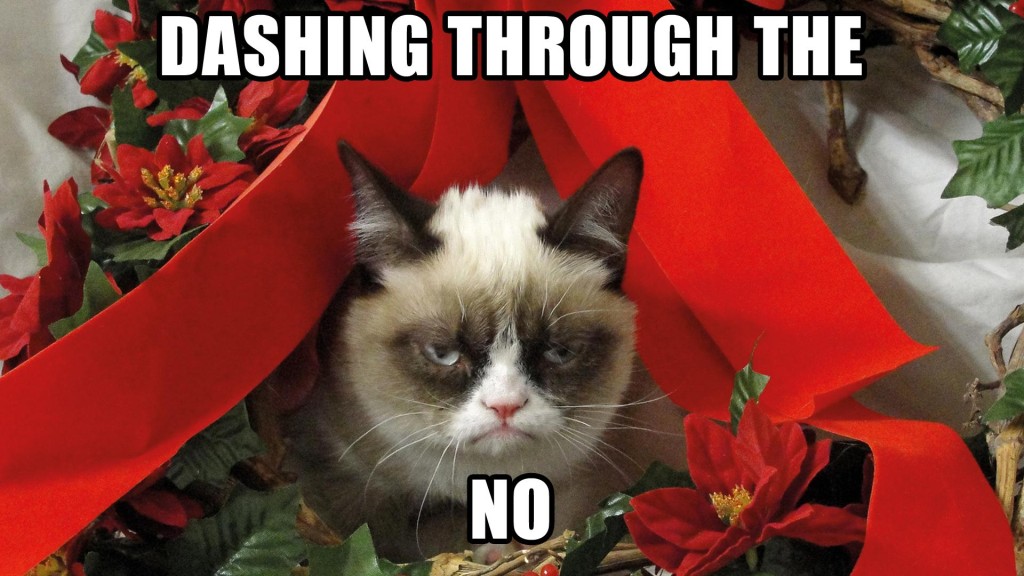 grumpy-cat-meme-christmasanimals-grumpy-cat-meme-pictures ...