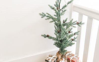 Small Beginnings – Christmas 2019