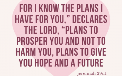 When Waiting is Hard | Guest Post by Katherine Weirich (Barb’s Assistant)