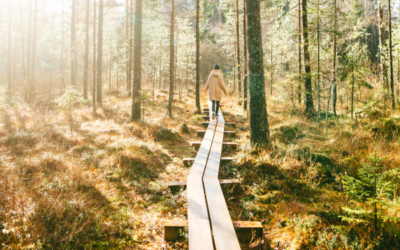 When Your Life Doesn’t Go as Planned