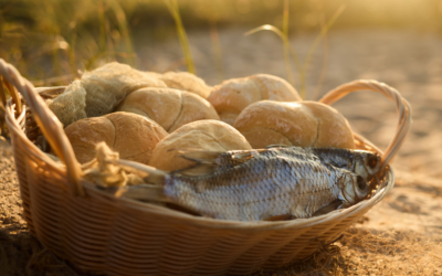MORE Loaves & Fishes, Part 2: Week Three