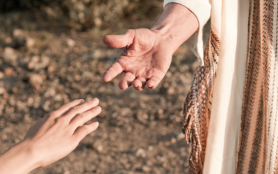 In Jesus’ Hands, It’s Always Enough: Loaves & Fishes Week Two